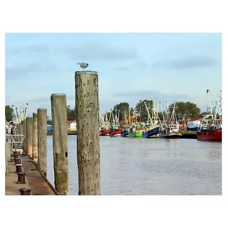 Krabbenkoje